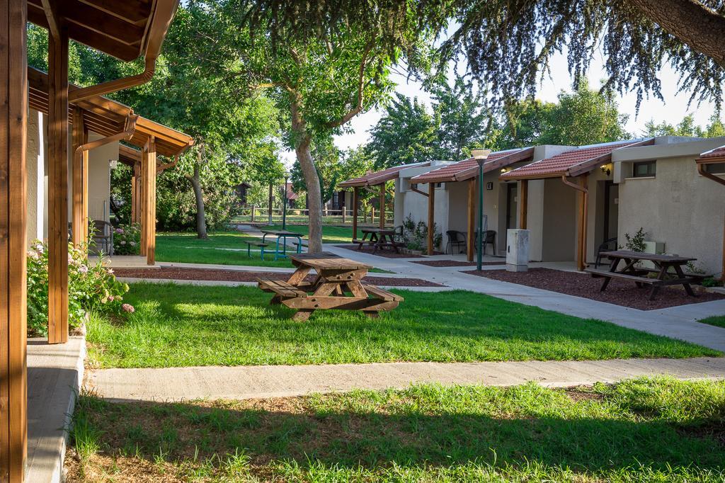 Merom Golan Resort Szoba fotó