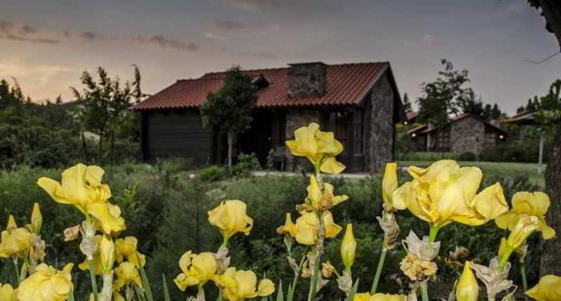 Merom Golan Resort Kültér fotó