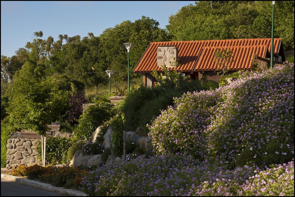 Merom Golan Resort Kültér fotó